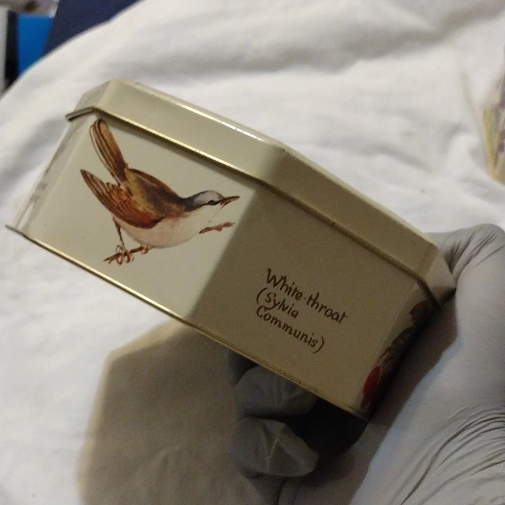 Vintage Design Richard Webb 1977 Naturalist Tin